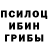 Галлюциногенные грибы Cubensis XXXTILTOSSIEN