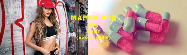 сатива Алексеевка