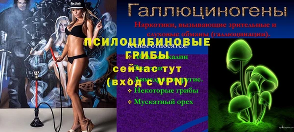 сатива Алексеевка