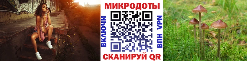 где продают   Кимры  Псилоцибиновые грибы ЛСД 